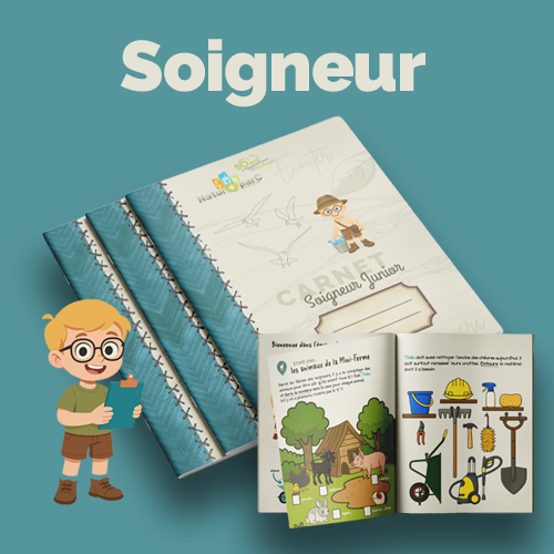 Soigneur-corrigé